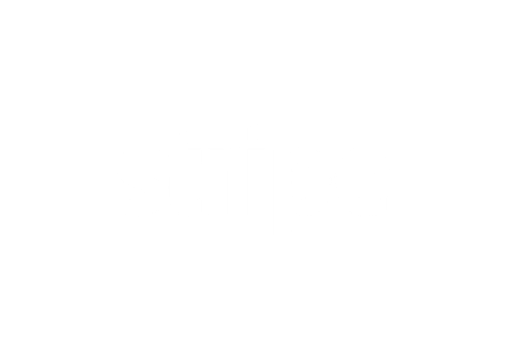 Stripe Logo